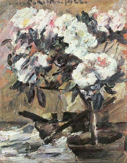 Lovis Corinth Azaleen